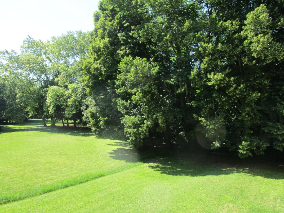Bed and Breakfast Domaine Des Chabriers Ourches Экстерьер фото