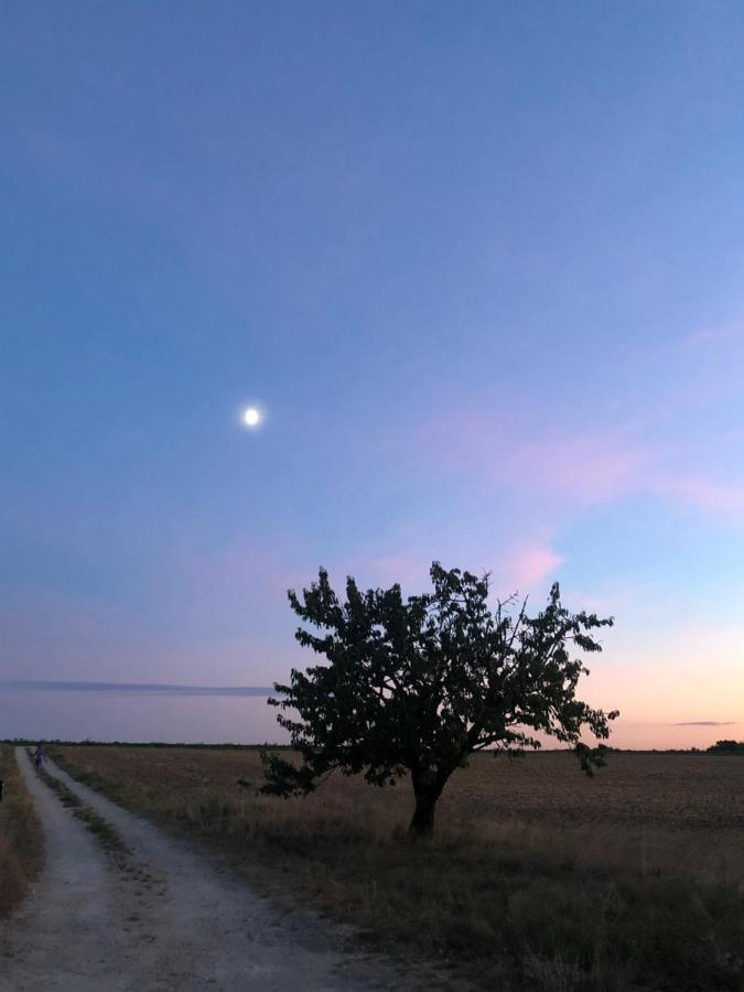 Bed and Breakfast Domaine Des Chabriers Ourches Экстерьер фото